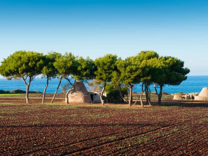 vacanze estive in Puglia
